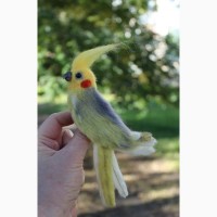 Брошь валяна попугай корелла игрушка интерьерная подарок хендмэйд украшение из шерсти