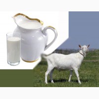 Лучшие цены на смеси на основе козьего молока Нэнни, Kabrita