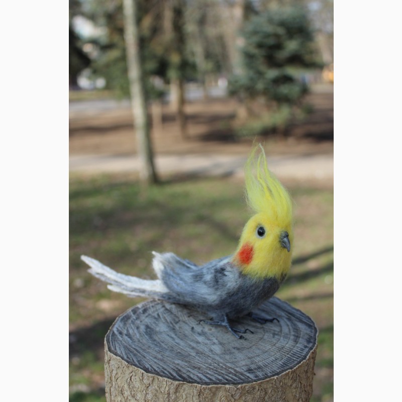 Фото 10. Валяна іграшка попугай корелла з шерсті хендмєйд інтерєрна птиця подарок сувенір птах