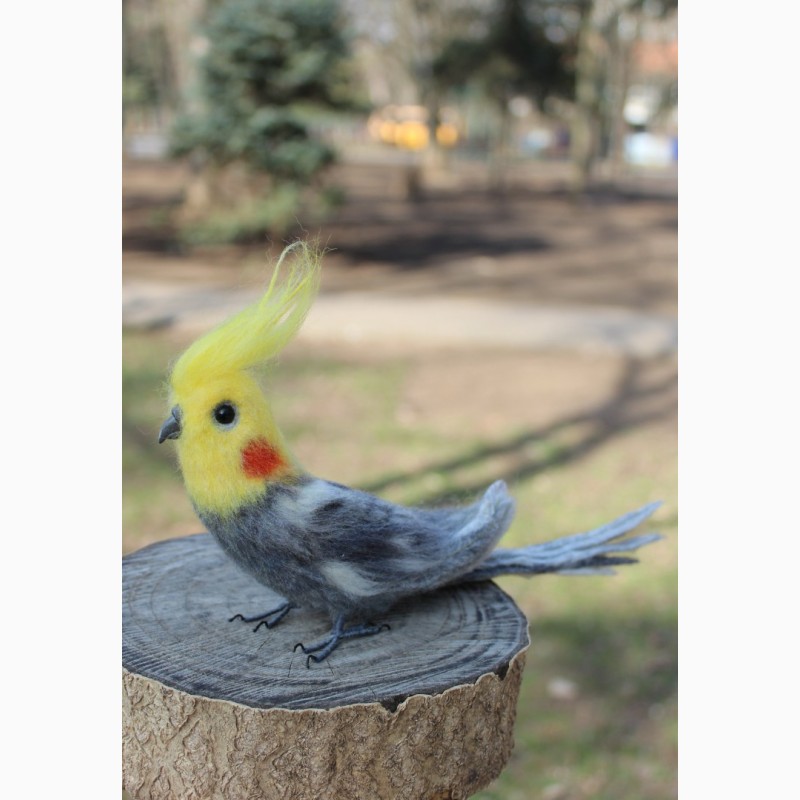 Фото 11. Валяна іграшка попугай корелла з шерсті хендмєйд інтерєрна птиця подарок сувенір птах