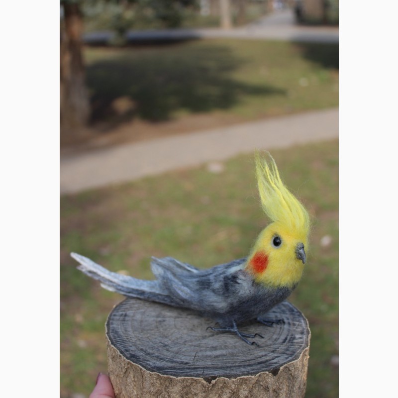 Фото 3. Валяна іграшка попугай корелла з шерсті хендмєйд інтерєрна птиця подарок сувенір птах