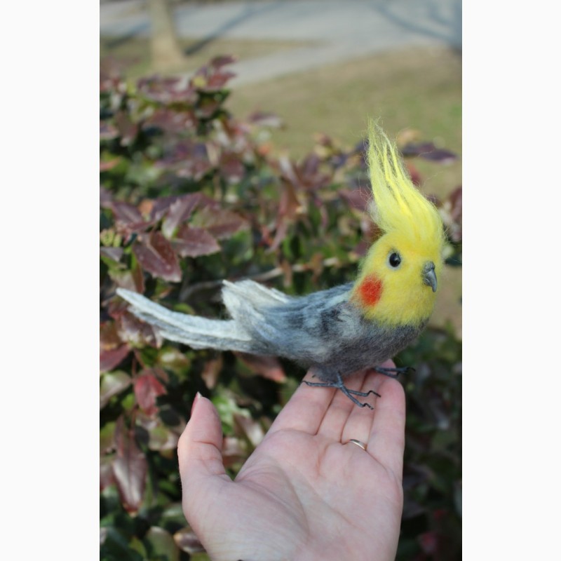 Фото 4. Валяна іграшка попугай корелла з шерсті хендмєйд інтерєрна птиця подарок сувенір птах