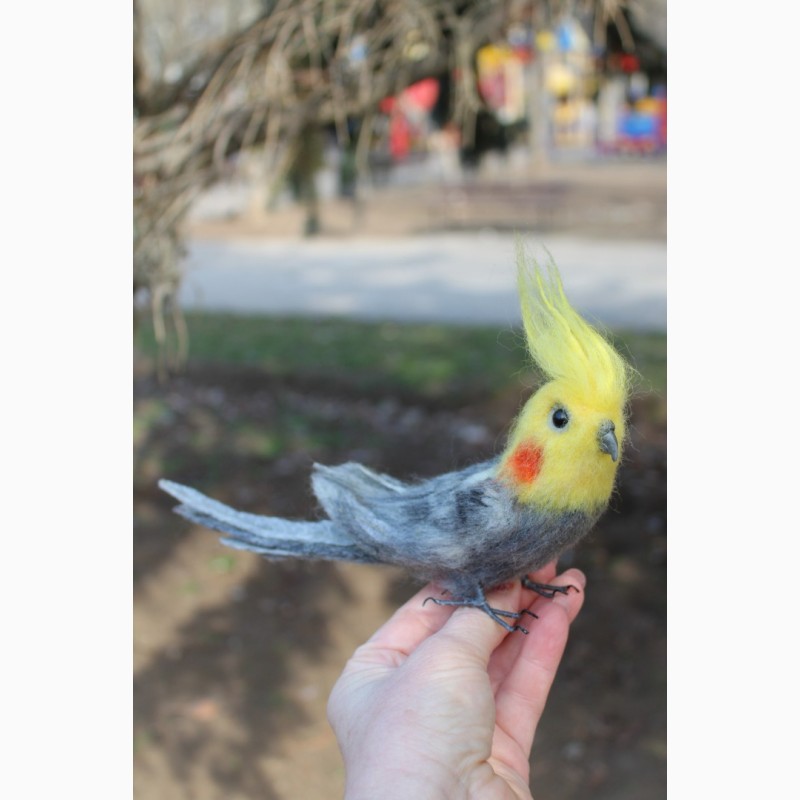Фото 6. Валяна іграшка попугай корелла з шерсті хендмєйд інтерєрна птиця подарок сувенір птах