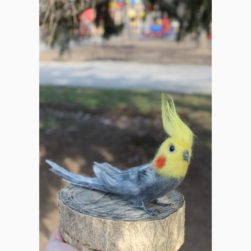 Фото 7. Валяна іграшка попугай корелла з шерсті хендмєйд інтерєрна птиця подарок сувенір птах