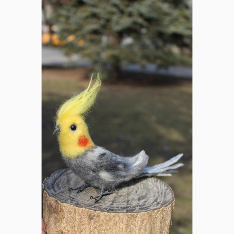 Фото 8. Валяна іграшка попугай корелла з шерсті хендмєйд інтерєрна птиця подарок сувенір птах