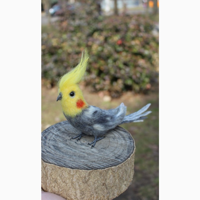 Фото 9. Валяна іграшка попугай корелла з шерсті хендмєйд інтерєрна птиця подарок сувенір птах