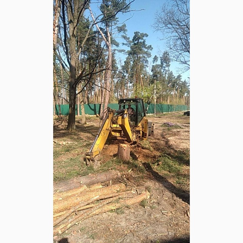 Фото 5. Професійний спил та видалення дерев у Києві та Київській області