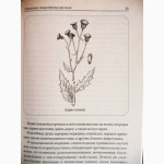Справочник лекарственных растений. Автор: Андрей Рябоконь