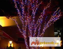 Фото 7. Светодиодная нить, светящиеся гирлянды, праздничная подсветка дома