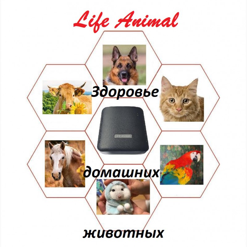 Фото 5. Лечебное устроство Life Animal 63 базовые программы. Купи по акции: КЕШБЭК 10%
