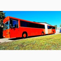 068 Автобус Miami VIP прокат аренда