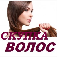 Скупка волос в Павлограде очень дорого