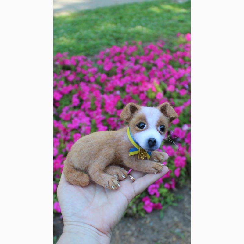 Фото 10. Пес Патрон іграшка валяна з шерсті інтерєрна собачка хендмєйд песик