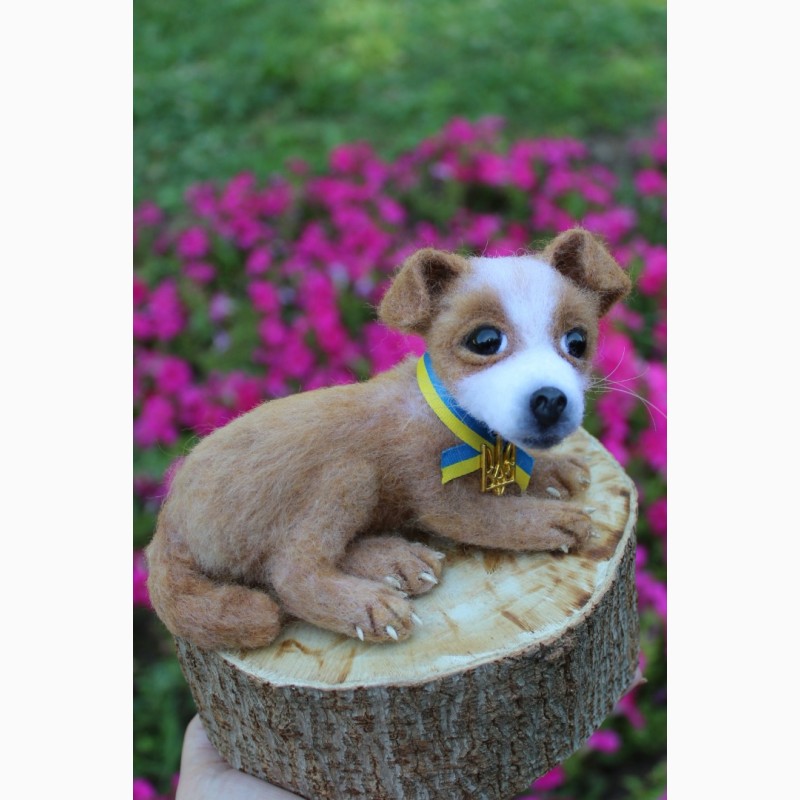 Фото 4. Пес Патрон іграшка валяна з шерсті інтерєрна собачка хендмєйд песик