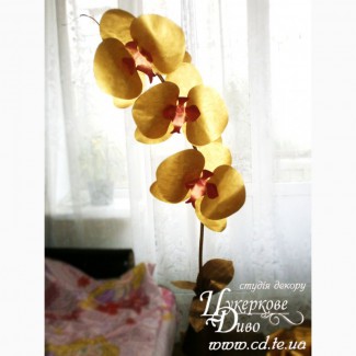 Ростова гігантська орхідея на ніжці стійці золота