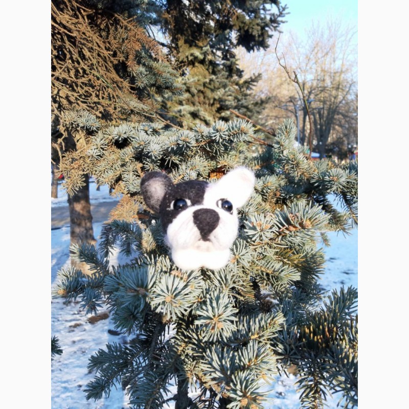 Фото 4. Французский бульдог собака игрушка хендмєйд валяная изшерсти интерьерная ручная работа пес