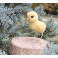 Цыпленок светлый игрушка хендмєйд валяная из шерсти ручной работы птица интерьерная курча