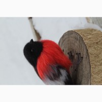 Снегирь птица игрушка хендмєйд валяная из шерсти ручной работы интерьерная снігур птах