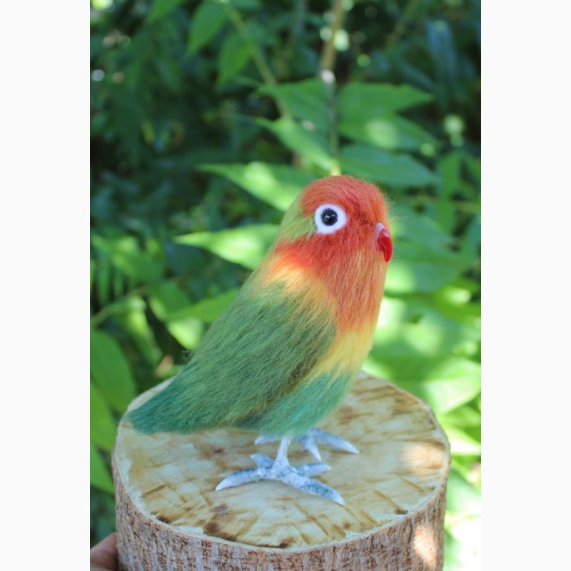 Фото 9. Неразлучник попугай валяна іграшка з шерсті папуга інтерєрна игрушка птица подарок сувенир