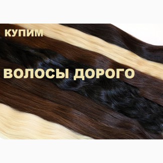 Скупка волос Харьков. Купим волосы дорого