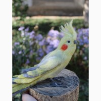 Игрушка валяная попугай Корелла ручной работы интерьерная сувенир подарок папуга іграшка