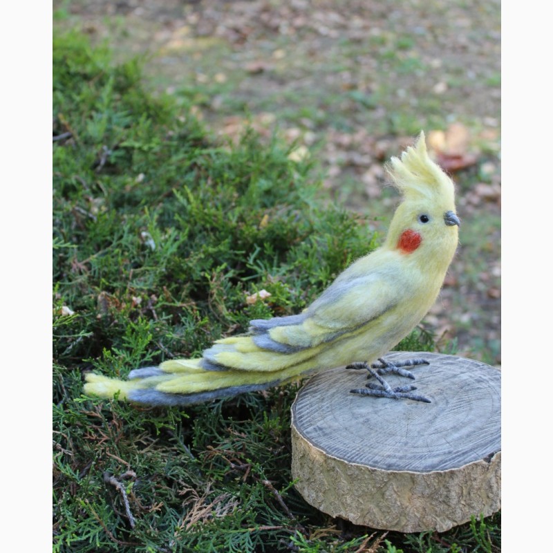 Фото 6. Игрушка валяная попугай Корелла ручной работы интерьерная сувенир подарок папуга іграшка