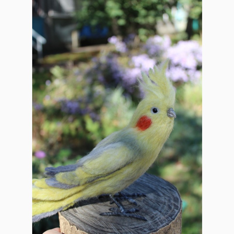 Фото 7. Игрушка валяная попугай Корелла ручной работы интерьерная сувенир подарок папуга іграшка
