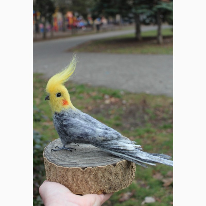 Фото 5. Попугай корелла игрушка хендмэйд подарок сувенир интерьерная папуга