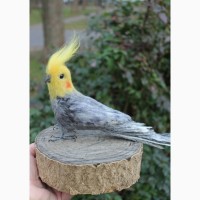 Попугай корелла игрушка хендмэйд подарок сувенир интерьерная папуга