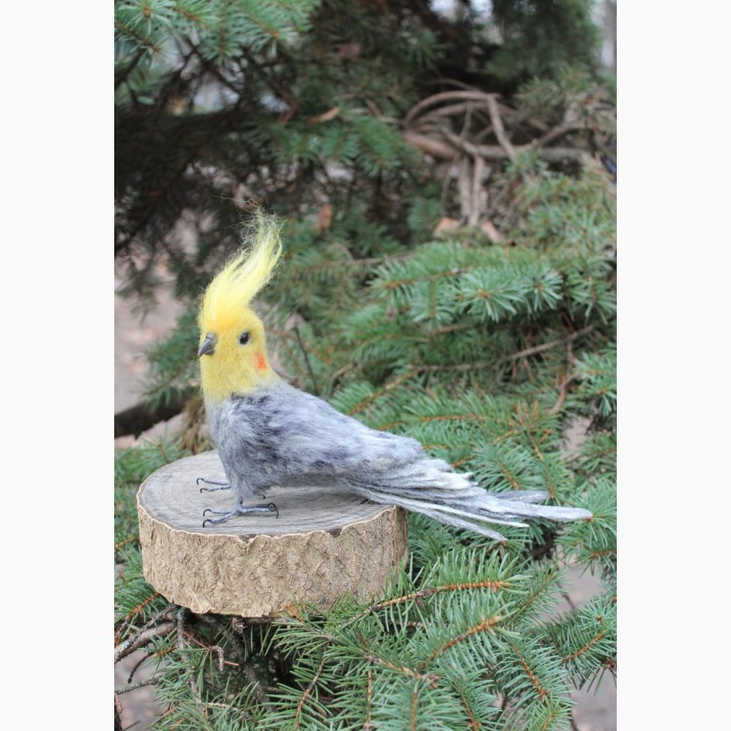Фото 9. Попугай корелла игрушка хендмэйд подарок сувенир интерьерная папуга